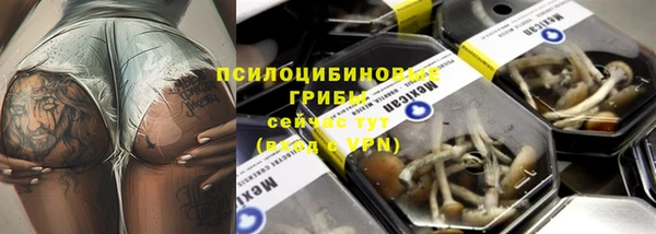 ешки Липки