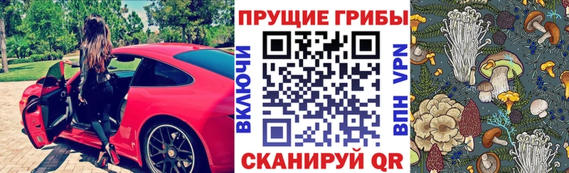 Купить закладки  Дубовка  Псилоцибиновые грибы мухоморы 